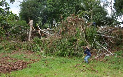 La Empresa de Servicios de Florencia, SERVAF S.A. E.S.P, apoyó trabajos de recuperación del campo deportivo del barrio La Esmeralda.