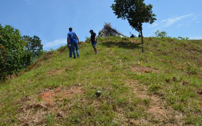 La Empresa SERVAF S.A. E.S.P., desarrolla programas de reforestación en zonas de influencia del acueducto.